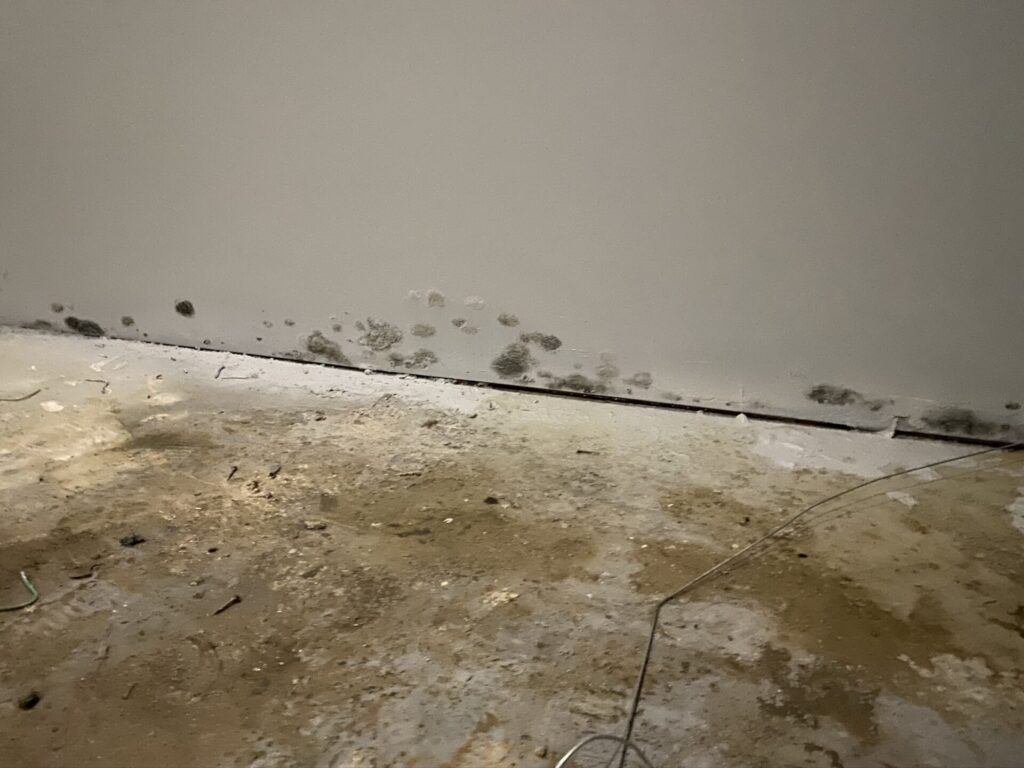 secrets to avoiding mold problems includes keeping moisture sensitive materials dry
